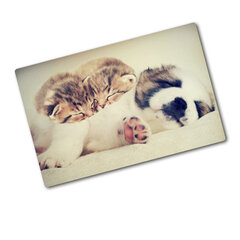 Tulup pjaustymo lentelė Katės ir šunys, 80x52 cm kaina ir informacija | Pjaustymo lentelės | pigu.lt