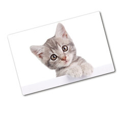 Tulup pjaustymo lentelė Pilka katė, 80x52 cm kaina ir informacija | Pjaustymo lentelės | pigu.lt