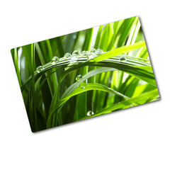 Tulup pjaustymo lentelė Lašina žolę, 80x52 cm kaina ir informacija | Pjaustymo lentelės | pigu.lt