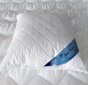 Antialerginė pagalvė Eco-Puch kaina ir informacija | Pagalvės | pigu.lt