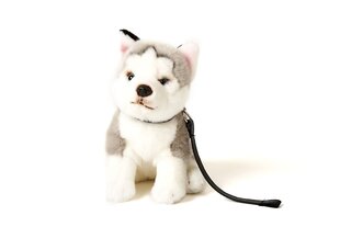 Плюшевая собачка Хаски серая,сидит на поводке 24см (высота) цена и информация | Мягкие игрушки | pigu.lt