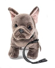 Плюшевая собака Французский бульдог на поводке 23см цена и информация | Мягкие игрушки | pigu.lt