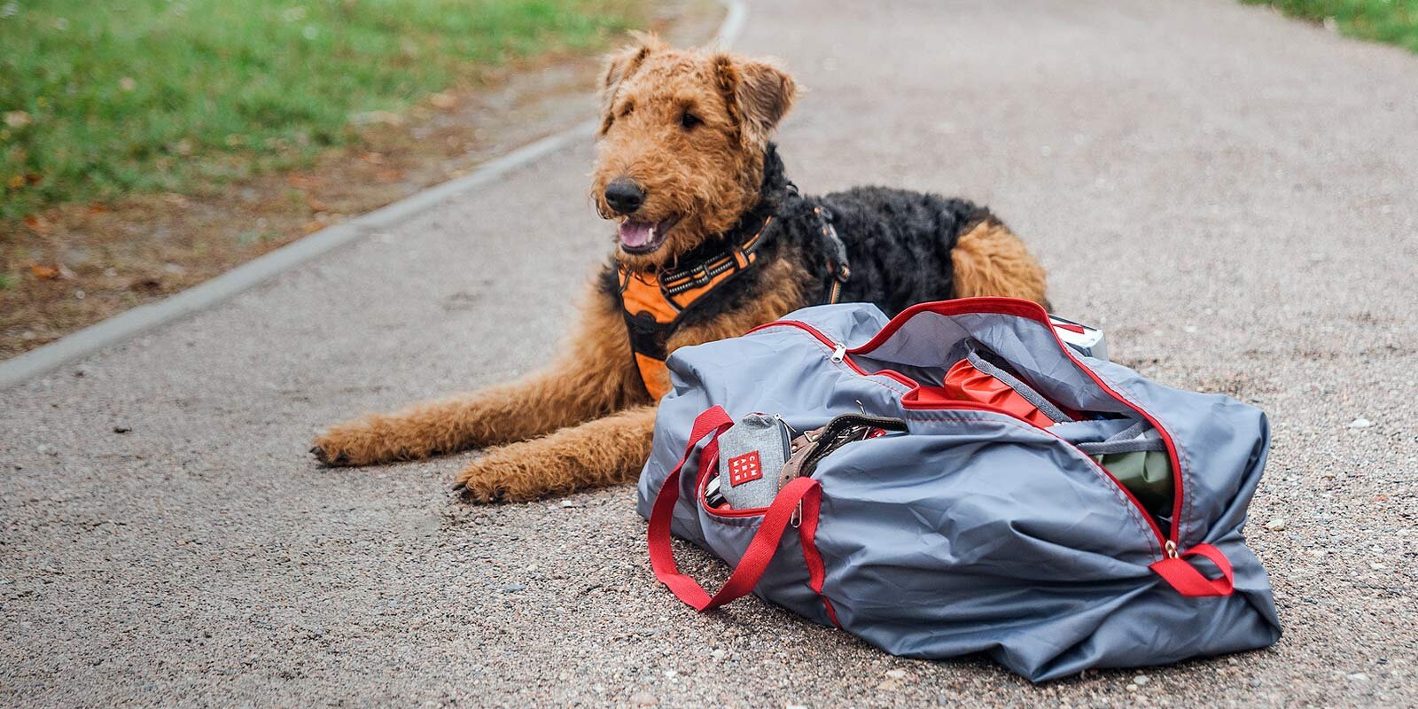 Krepšys-transformeris Baggingbag Keep-n-Trip Lithuania, žalias kaina ir informacija | Lagaminai, kelioniniai krepšiai | pigu.lt