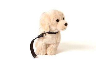 Плюшевый щенок золотистого ретривера на поводке - 23 см цена и информация | Мягкие игрушки | pigu.lt