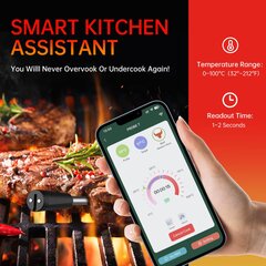 Išmanusis belaidis maisto termometras Feelspot FS200 su Bluetooth kaina ir informacija | Grilio, šašlykinių priedai ir aksesuarai | pigu.lt