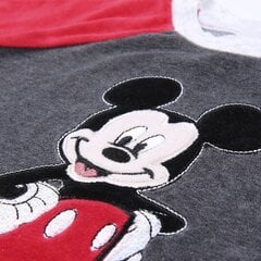 Pižama berniukams Mickey Mouse, pilka kaina ir informacija | Pižamos, chalatai berniukams | pigu.lt
