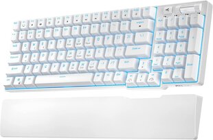 Mechanical keyboard Royal Kludge RK96 RGB, red switch (blue) цена и информация | Клавиатуры | pigu.lt