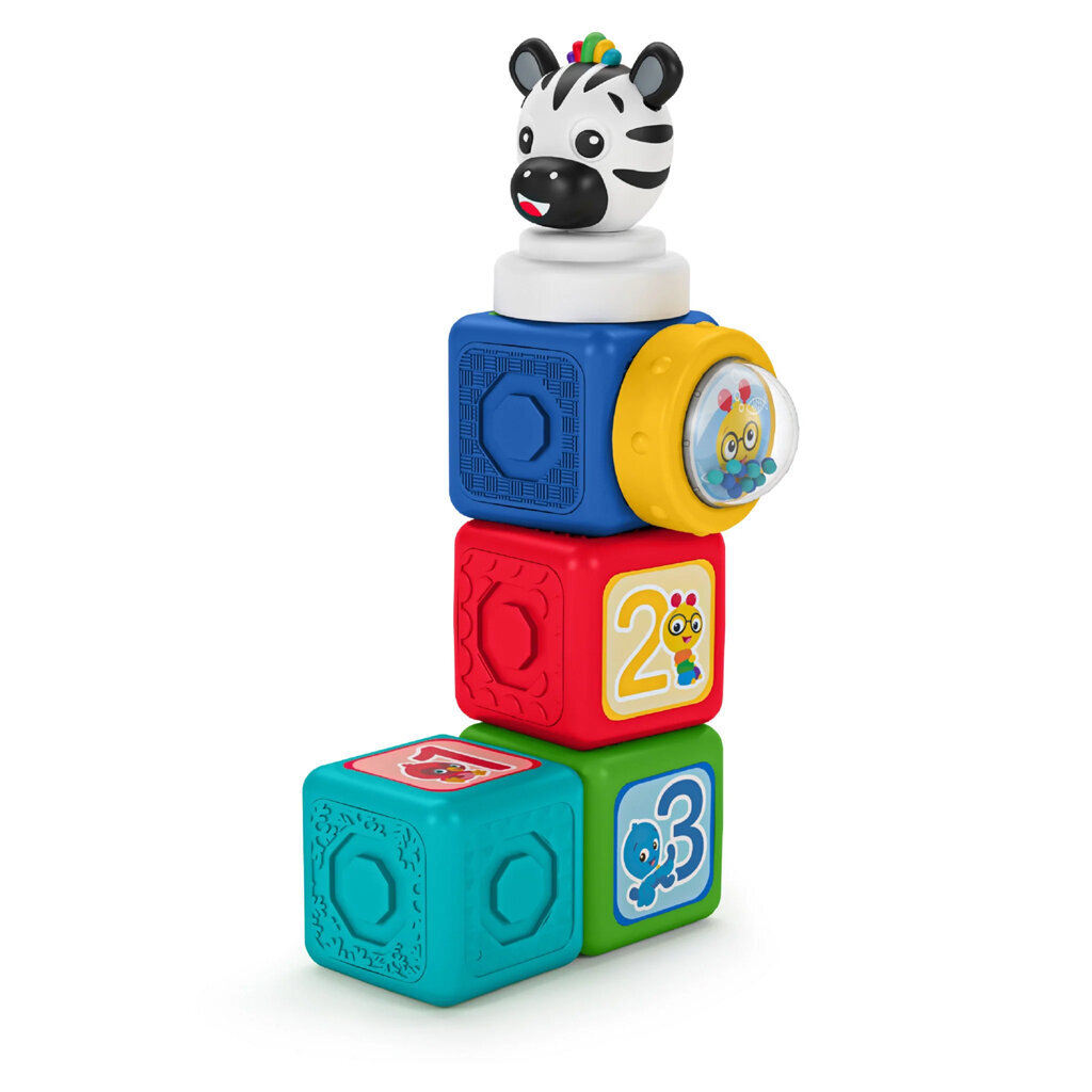 Magnetinės kaladėlės Baby Einstein, 6 d. kaina ir informacija | Žaislai kūdikiams | pigu.lt