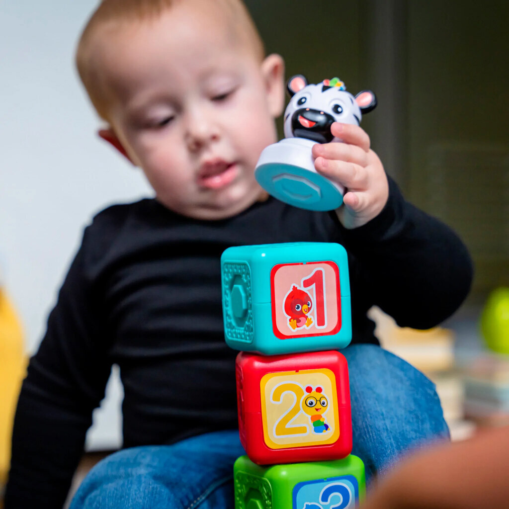 Magnetinės kaladėlės Baby Einstein, 6 d. kaina ir informacija | Žaislai kūdikiams | pigu.lt