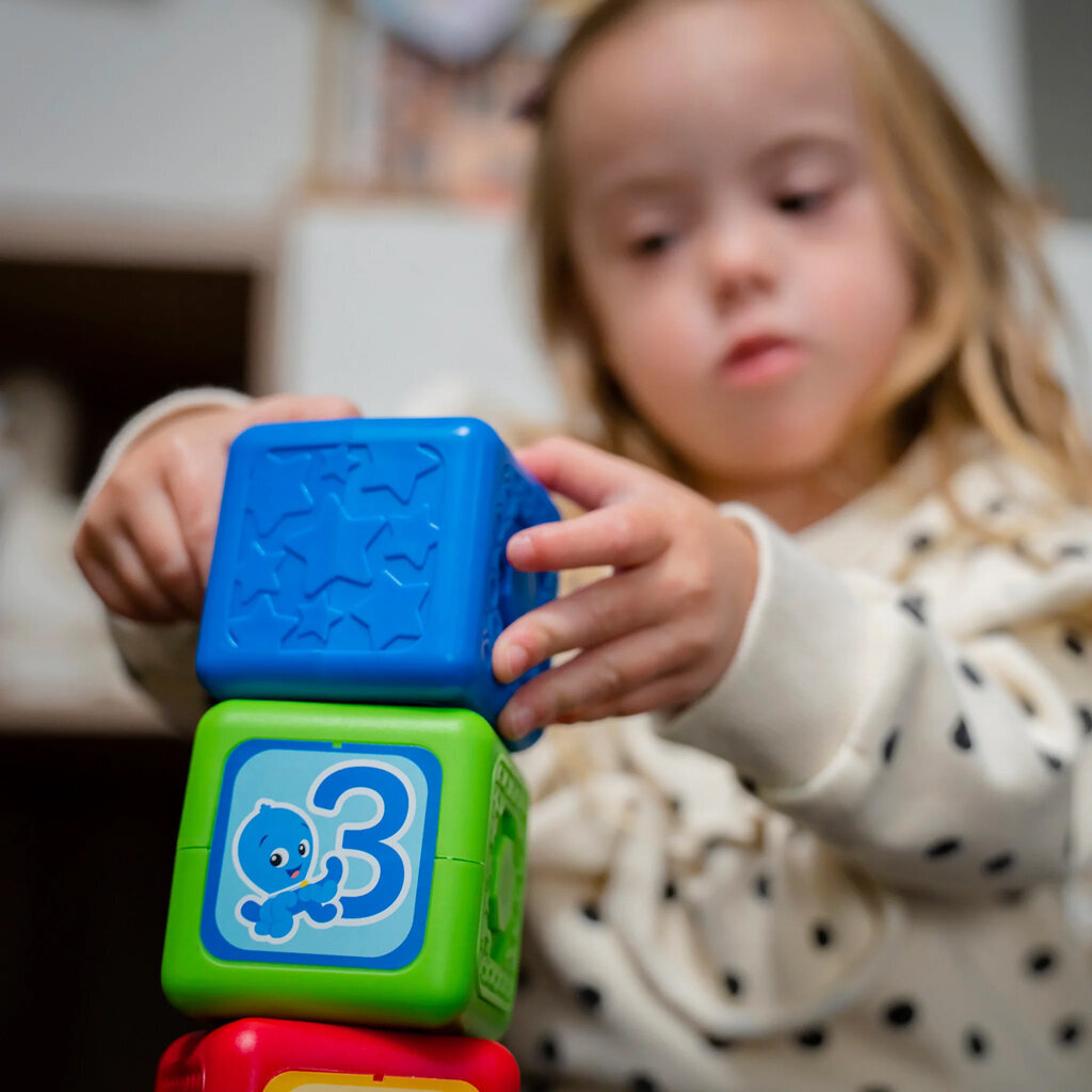 Magnetinės kaladėlės Baby Einstein, 6 d. kaina ir informacija | Žaislai kūdikiams | pigu.lt