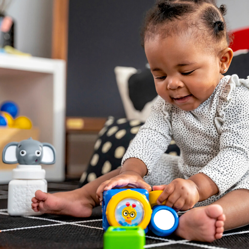 Magnetinės kaladėlės Baby Einstein, 11 d. kaina ir informacija | Žaislai kūdikiams | pigu.lt