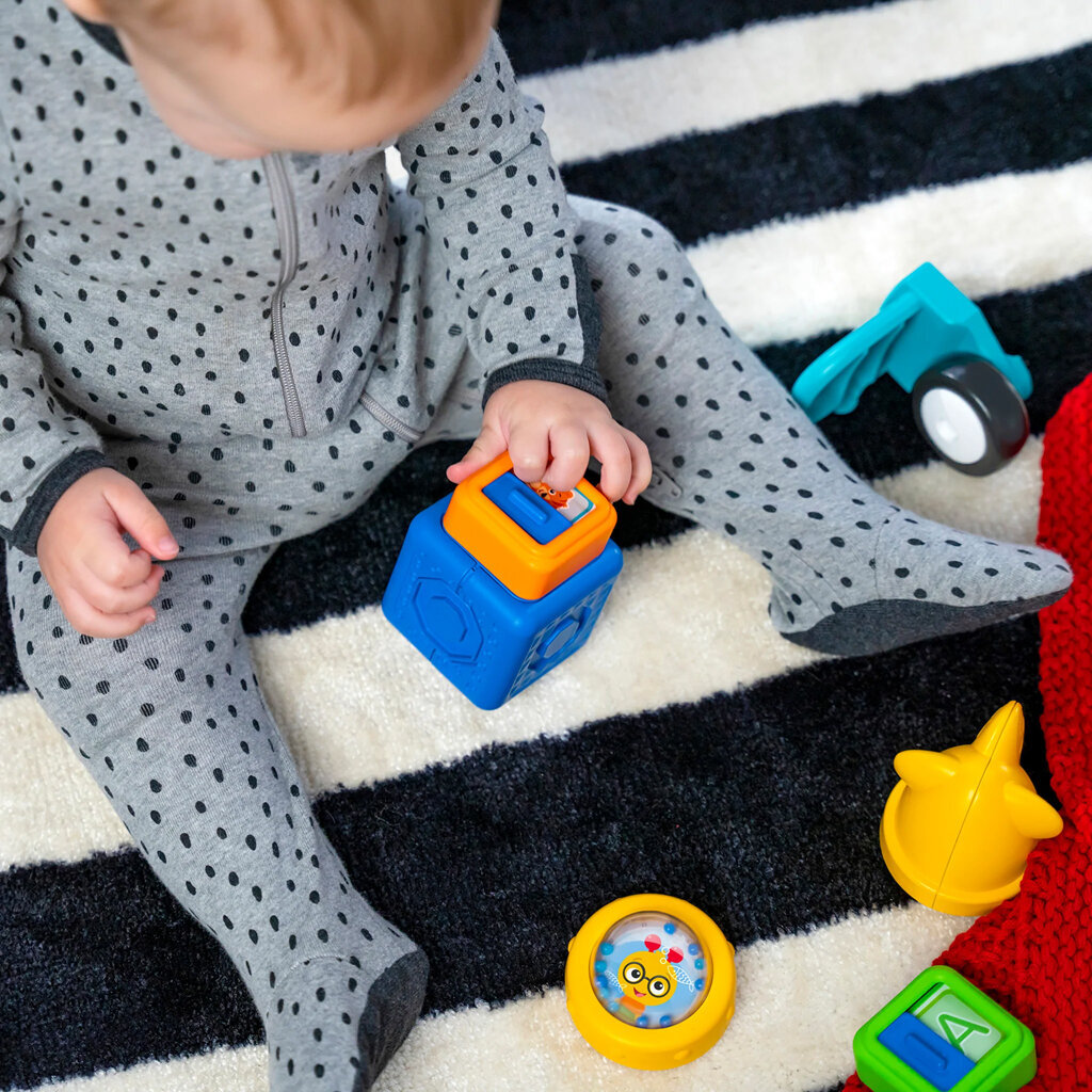 Magnetinės kaladėlės Baby Einstein, 11 d. kaina ir informacija | Žaislai kūdikiams | pigu.lt