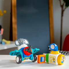 Magnetinės kaladėlės Baby Einstein, 11 d. kaina ir informacija | Žaislai kūdikiams | pigu.lt