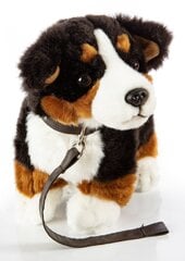 Pliušinis šuo su pavadėliu, 23 cm kaina ir informacija | Minkšti (pliušiniai) žaislai | pigu.lt
