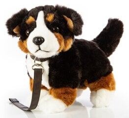 Pliušinis šuo su pavadėliu, 23 cm kaina ir informacija | Minkšti (pliušiniai) žaislai | pigu.lt
