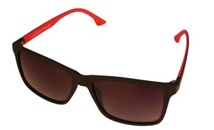 Солнцезащитные очки для мужчин Icone  ST 102 C1 58-16, черные цена и информация | Солнцезащитные очки для мужчин | pigu.lt