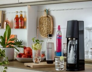 SodaStream Terra цена и информация | Аппараты для газирования воды | pigu.lt