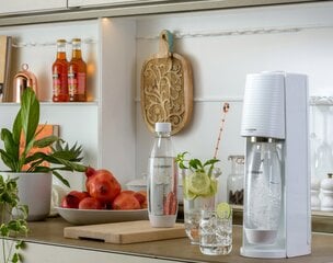 SodaStream Terra kaina ir informacija | Gazuoto vandens aparatai ir priedai | pigu.lt