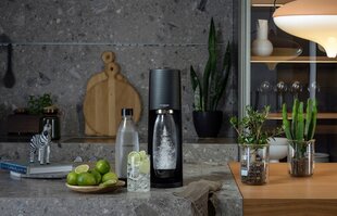 SodaStream Terra kaina ir informacija | Gazuoto vandens aparatai ir priedai | pigu.lt