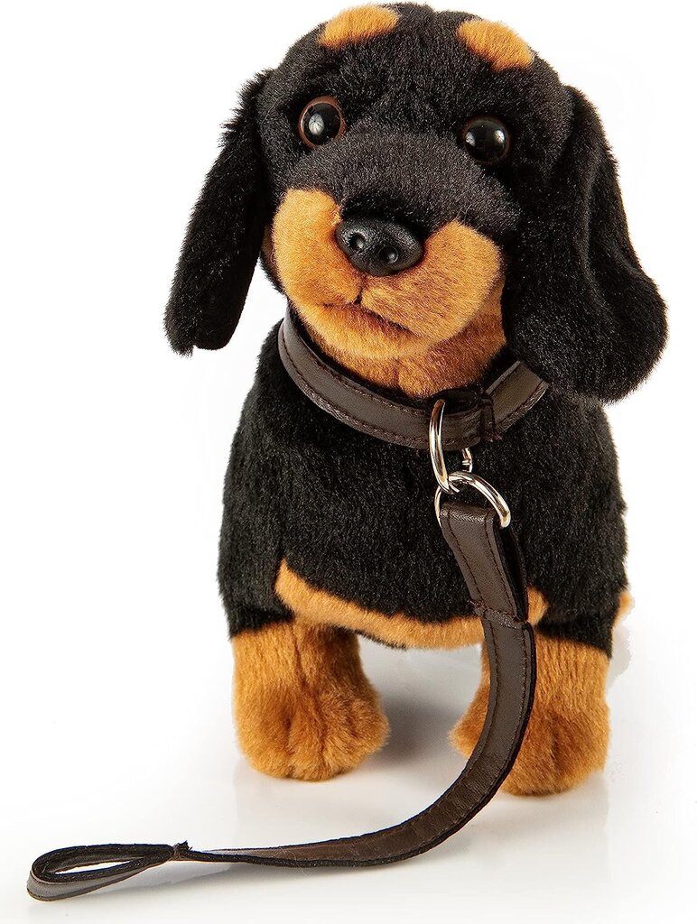 Pliušinis šuo Taksas su pavadėliu, 28cm kaina ir informacija | Minkšti (pliušiniai) žaislai | pigu.lt