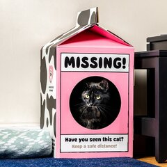Katės namelis CatDen Pieno Pakuotė CATH01, 57,5​​x30,5x31 cm kaina ir informacija | Draskyklės | pigu.lt