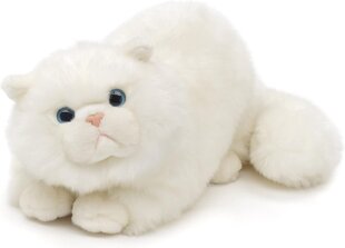 Плюшевый белый пушистый кот, 30 см цена и информация | Мягкие игрушки | pigu.lt