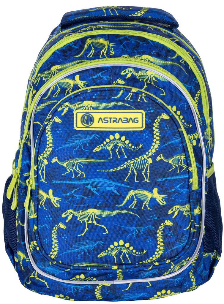 Mokyklinė kuprinė AstraBag Dinos AB420 502022097, mėlyna, 20 l kaina ir informacija | Kuprinės mokyklai, sportiniai maišeliai | pigu.lt