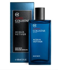 Туалетная вода Collistar Vetiver EDT для мужчин, 100 мл цена и информация | Мужские духи | pigu.lt