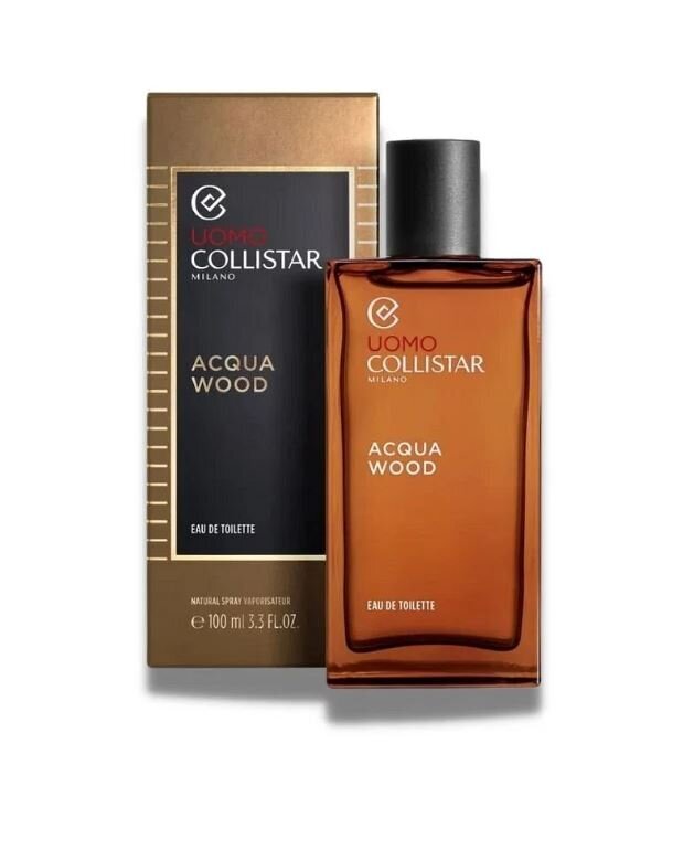 Tualetinis vanduo Collistar Wood EDT vyrams, 100 ml kaina ir informacija | Kvepalai vyrams | pigu.lt