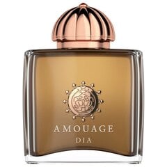 Kvapusis vanduo Amouage Dia pour Femme EDP moterims, 100 ml kaina ir informacija | Kvepalai moterims | pigu.lt