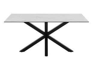 Стол обеденный BRW Erlan, белый цена и информация | Кухонные и обеденные столы | pigu.lt