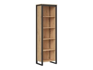 Книжный шкаф BRW Dodson, коричневый цвет цена и информация | Шкафы | pigu.lt