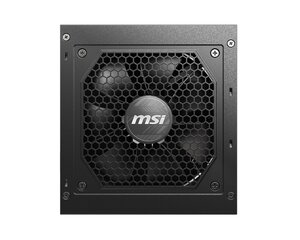 MSI 306-7ZP8A11-CE0 цена и информация | Блоки питания (PSU) | pigu.lt