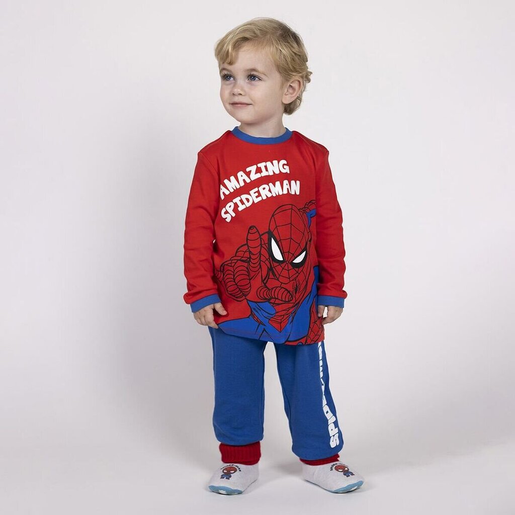 Pižama berniukams Spiderman, mėlyna kaina ir informacija | Pižamos, chalatai berniukams | pigu.lt