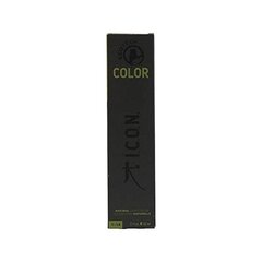 Краска для волос I.c.o.n. Slate Violet, 60 мл цена и информация | Краска для волос | pigu.lt