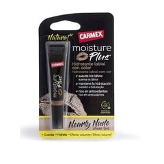 Lūpų balzamas Carmex Nearly Nude, 3.8 g kaina ir informacija | Lūpų dažai, blizgiai, balzamai, vazelinai | pigu.lt