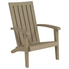 Lauko kėdė vidaXL, ruda kaina ir informacija | Lauko kėdės, foteliai, pufai | pigu.lt