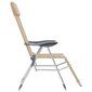 2-jų kėdžių komplektas vidaXL, smėlio spalvos kaina ir informacija | Lauko kėdės, foteliai, pufai | pigu.lt