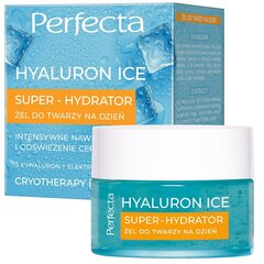 Dieninis veido gelis Perfecta Hyaluron Ice Super-Hydrator, 50 ml kaina ir informacija | Veido kremai | pigu.lt