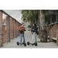 Elektrinis paspirtukas Segway F2E, juodas цена и информация | Elektriniai paspirtukai | pigu.lt