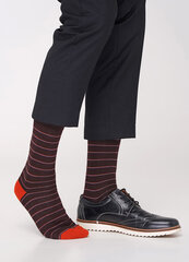 Kojinės vyrams Giulia, rudos kaina ir informacija | Vyriškos kojinės | pigu.lt