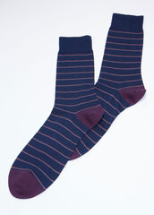 Kojinės vyrams Giulia, mėlynos kaina ir informacija | Vyriškos kojinės | pigu.lt