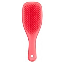 Plaukų šepetys Tangle Teezer Ultimate Detangler Mini kaina ir informacija | Šepečiai, šukos, žirklės | pigu.lt