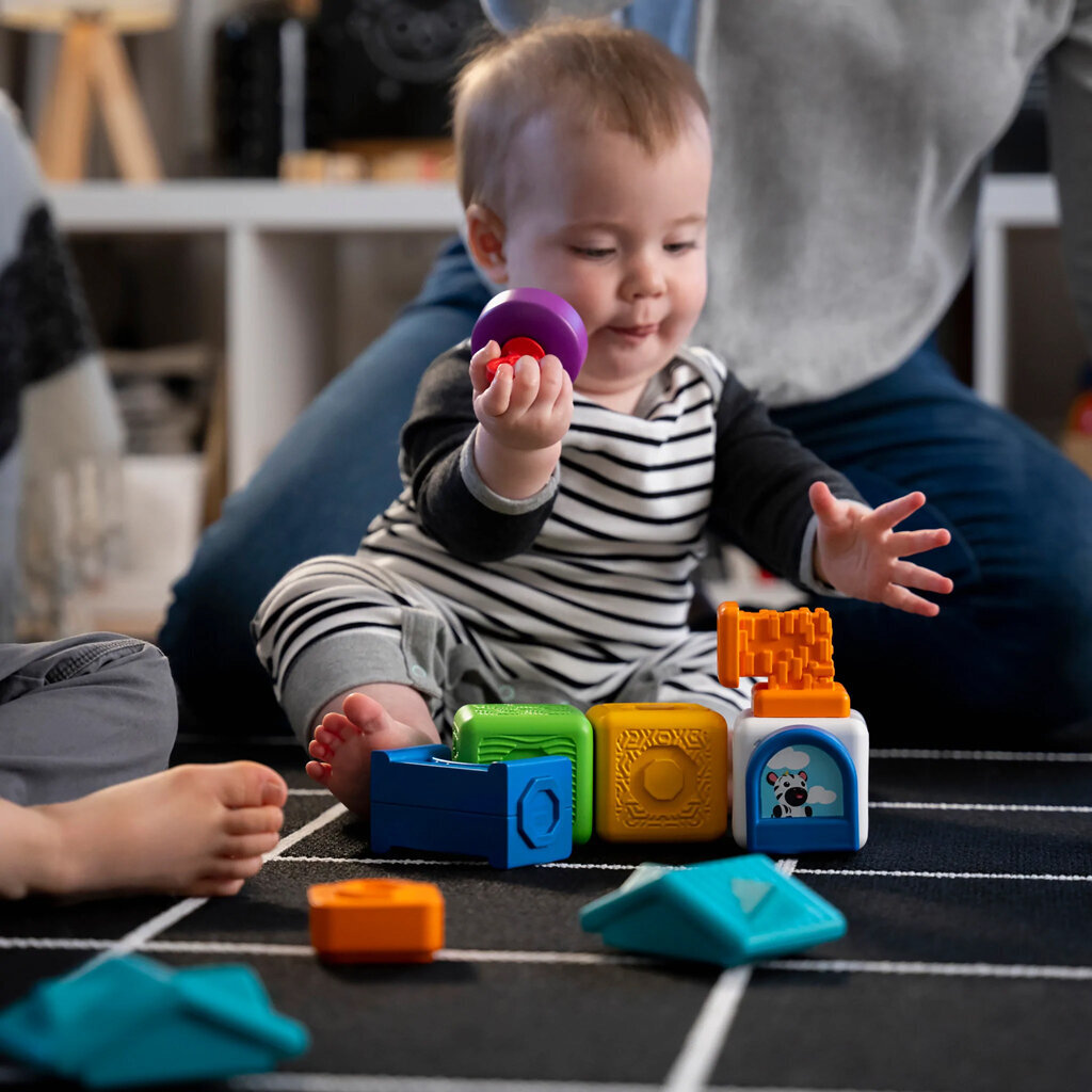 Magnetinės kaladėlės Baby Einstein, 15 d. kaina ir informacija | Žaislai kūdikiams | pigu.lt