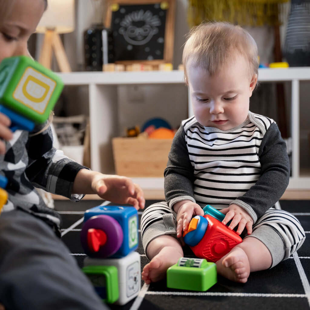 Magnetinės kaladėlės Baby Einstein, 15 d. kaina ir informacija | Žaislai kūdikiams | pigu.lt