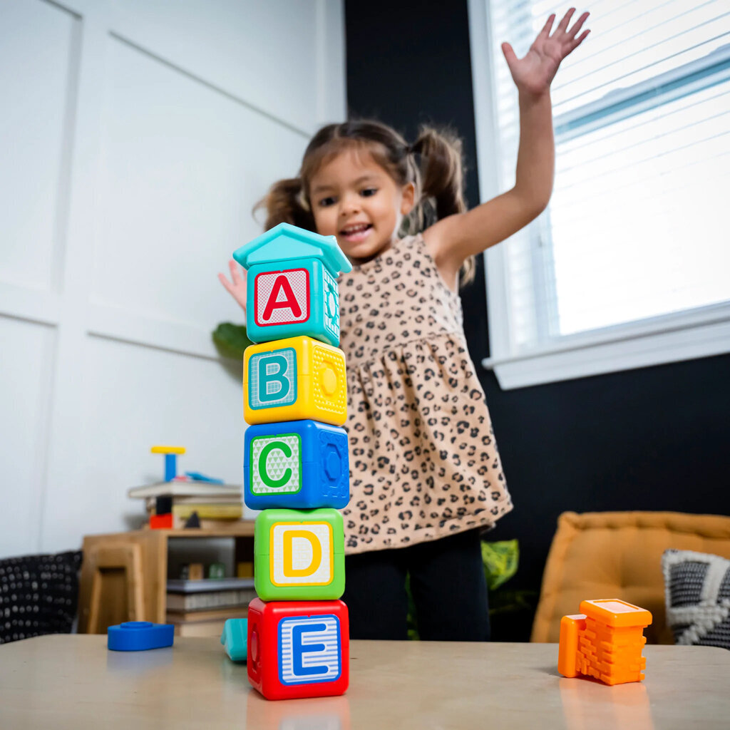 Magnetinės kaladėlės Baby Einstein, 15 d. kaina ir informacija | Žaislai kūdikiams | pigu.lt