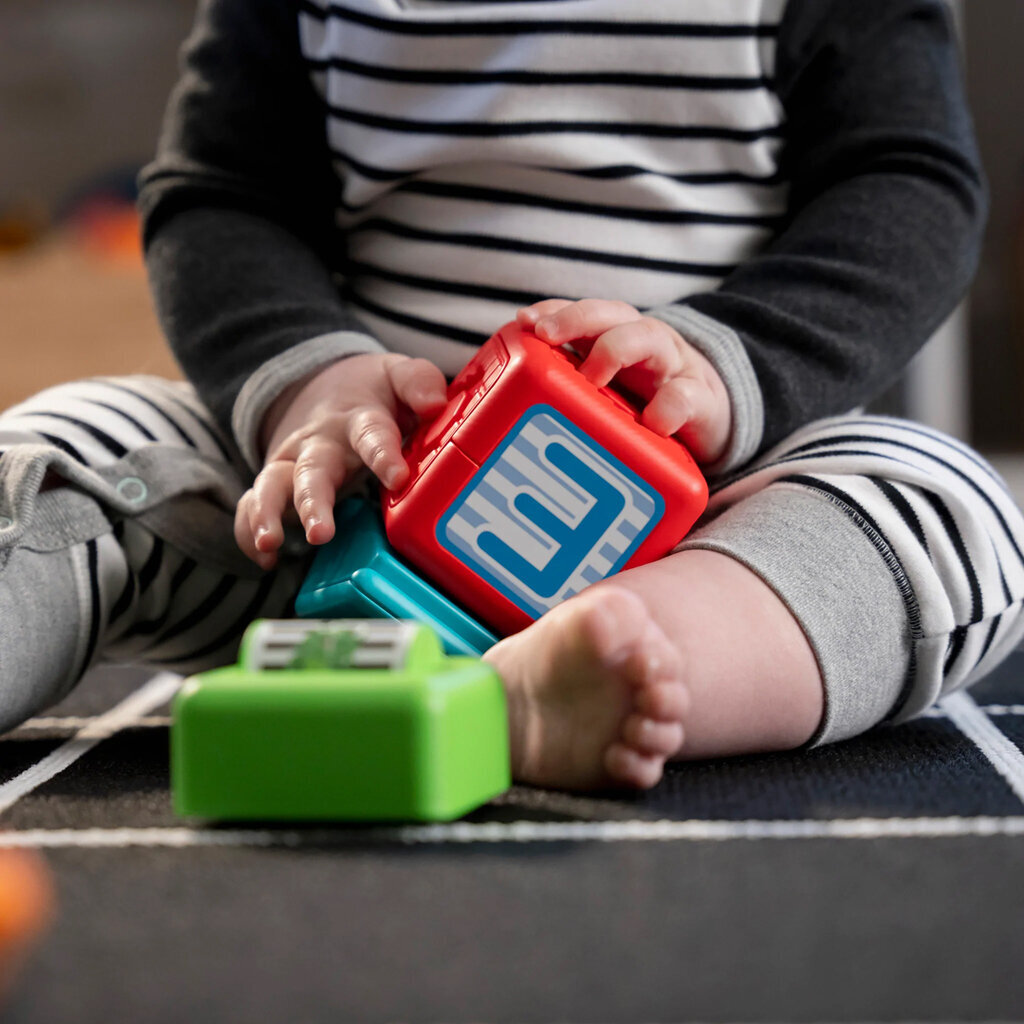 Magnetinės kaladėlės Baby Einstein, 15 d. kaina ir informacija | Žaislai kūdikiams | pigu.lt