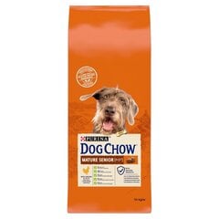 Purina Dog Chow Mature Senior su vištiena, 14 kg цена и информация | Сухой корм для собак | pigu.lt