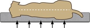 Pagalvėlė šunims Beeztees Orthopedic Zira, įvairių dydžių, pilka цена и информация | Лежаки, домики | pigu.lt