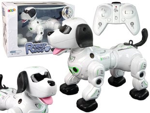 Žaislinis gyvūnas Lean Toys Robot Doggy, 25 cm цена и информация | Игрушки для девочек | pigu.lt
